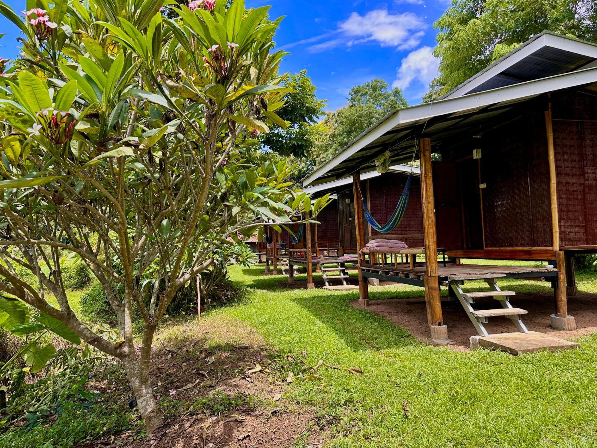 Twin Hut Otel Pai Dış mekan fotoğraf