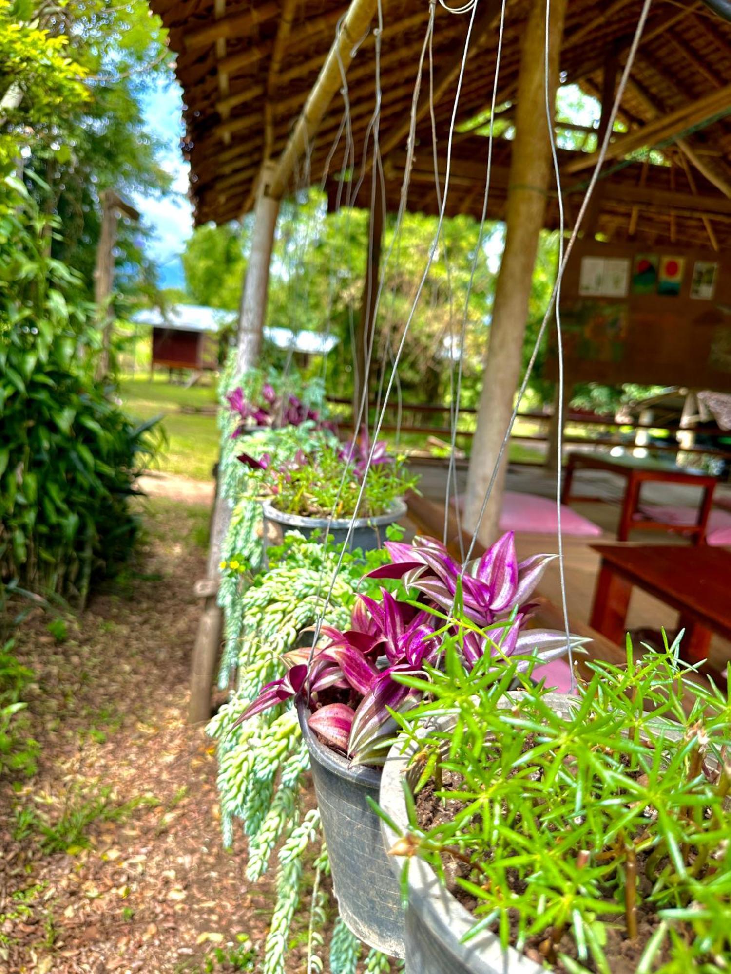 Twin Hut Otel Pai Dış mekan fotoğraf